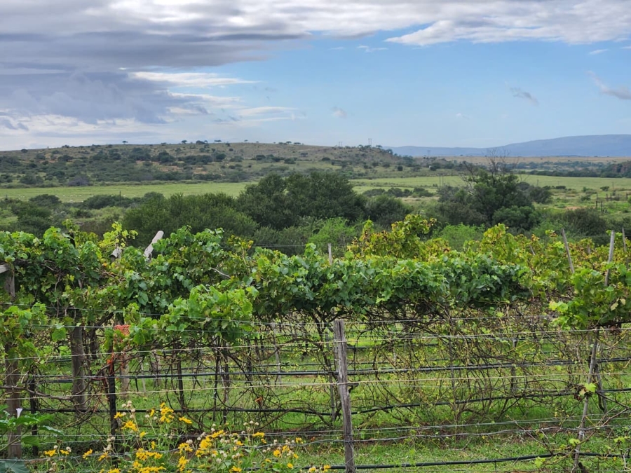 Commercial Property for Sale in Somerset East Rural Eastern Cape